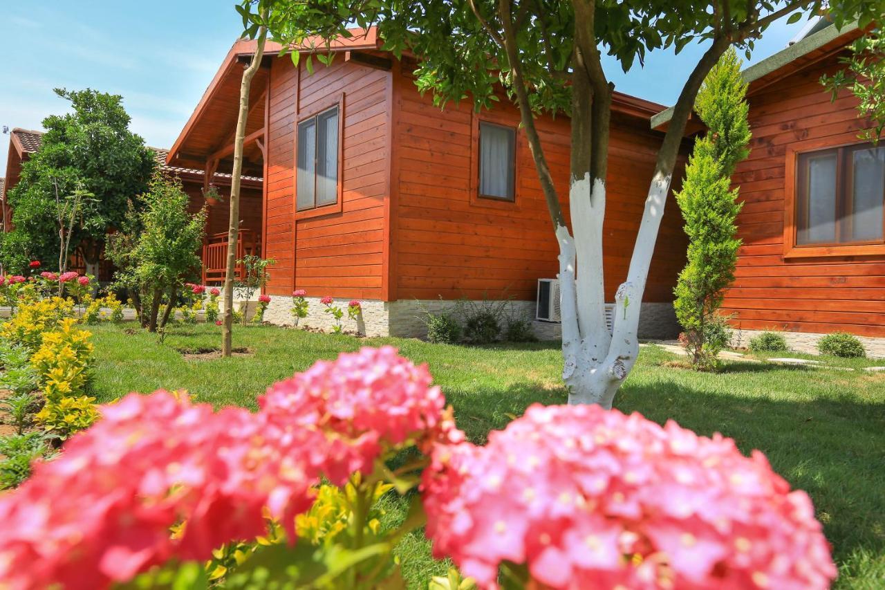 Merry Bungalow & Tent Çıralı المظهر الخارجي الصورة