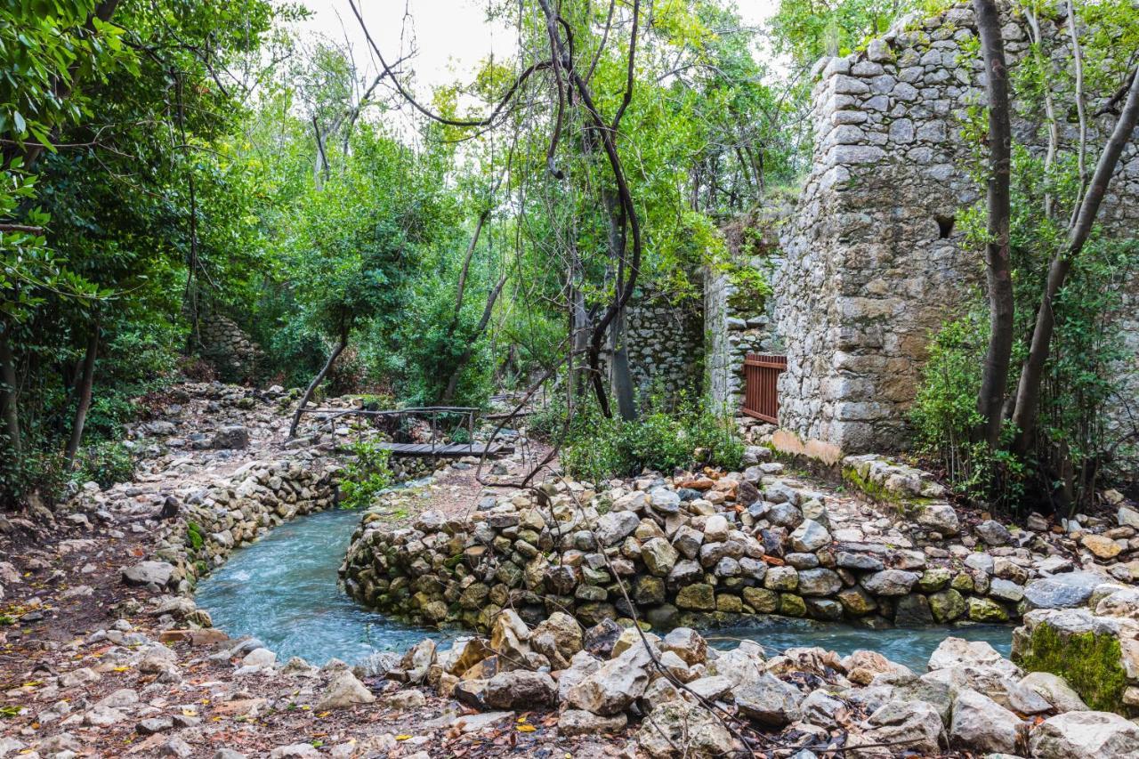 Merry Bungalow & Tent Çıralı المظهر الخارجي الصورة