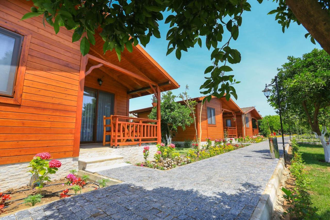 Merry Bungalow & Tent Çıralı المظهر الخارجي الصورة